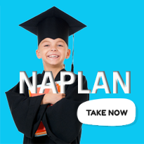 NAPLAN Style Test
